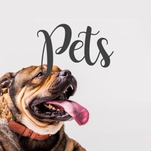 Pets